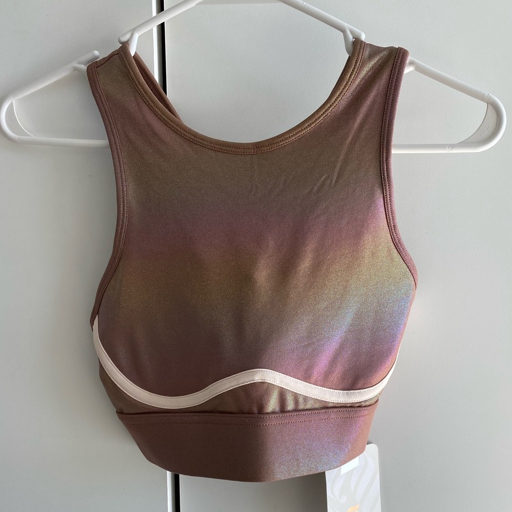 NWT Fabletics Cross Back High Impact Sports Bra